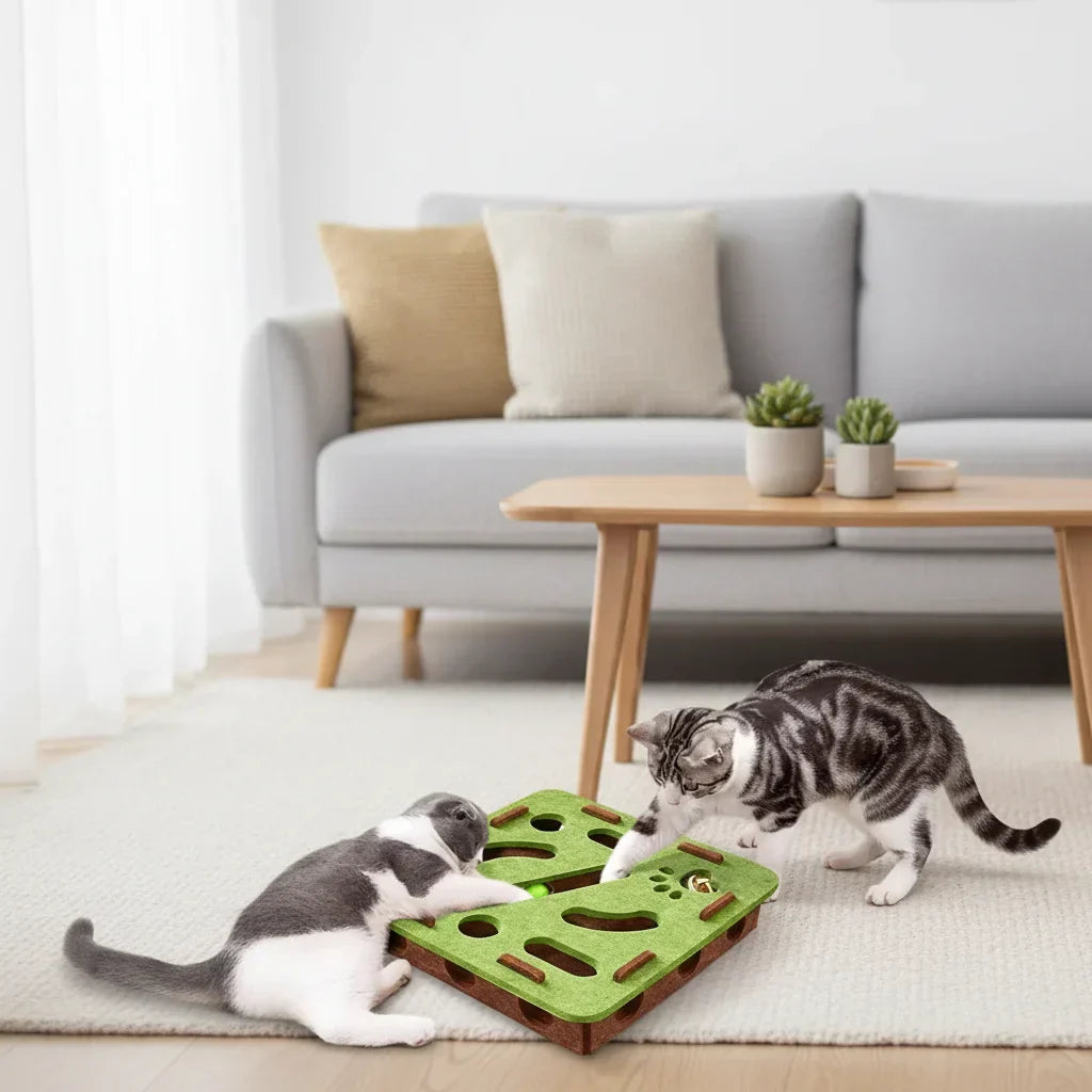 Jouet pour Chat