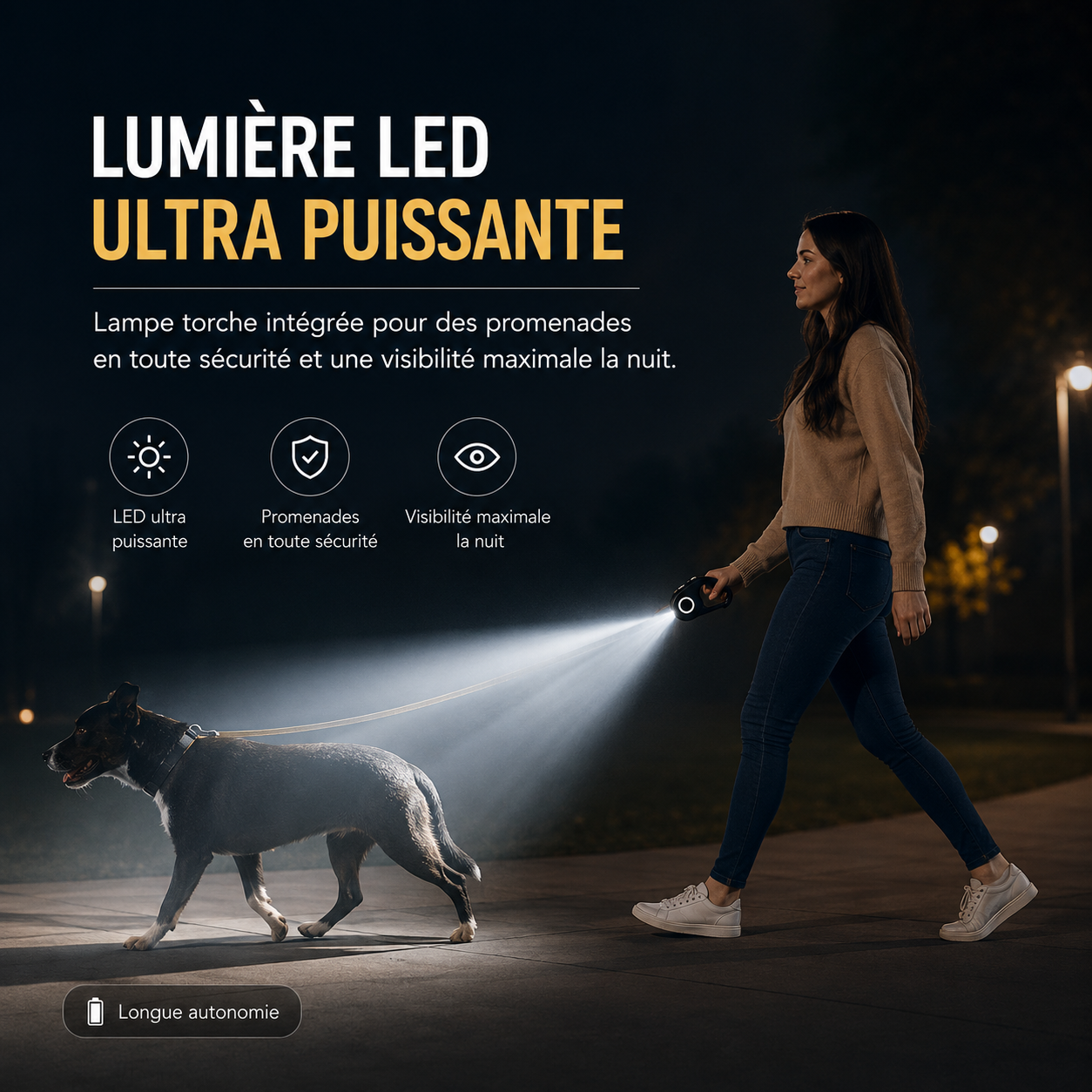 Laisse rétractable ROJECO 5 m pour chien – Promenade jour et nuit