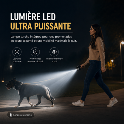 Laisse rétractable ROJECO 5 m pour chien – Promenade jour et nuit