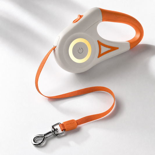 Laisse rétractable ROJECO 5 m pour chien – Promenade jour et nuit